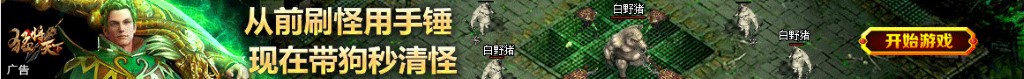 雪来的时候